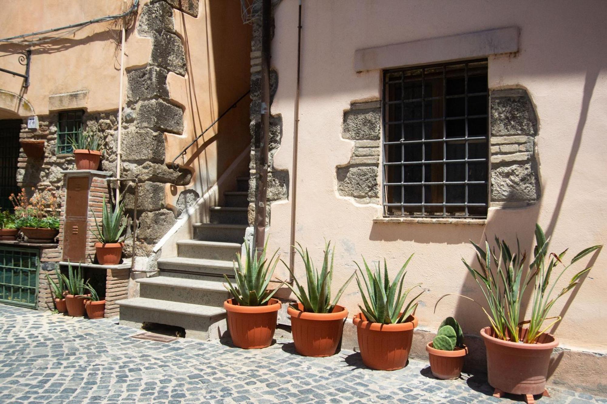 Finestra Sul Borgo Apartment Trevignano Romano Ngoại thất bức ảnh